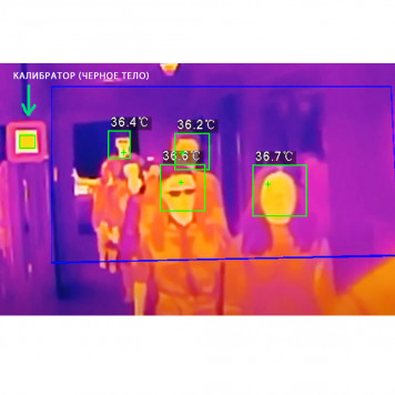 Калибратор тепловизоров (черное тело) TI-BB-1-1